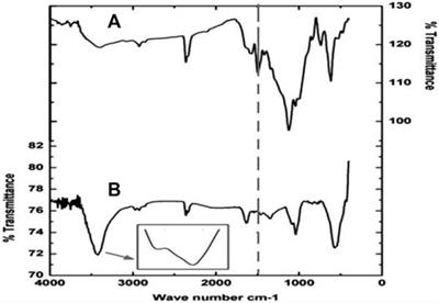 Microbial Remediation of Textile Dye Acid Orange by a Novel Bacterial Consortium SPB92